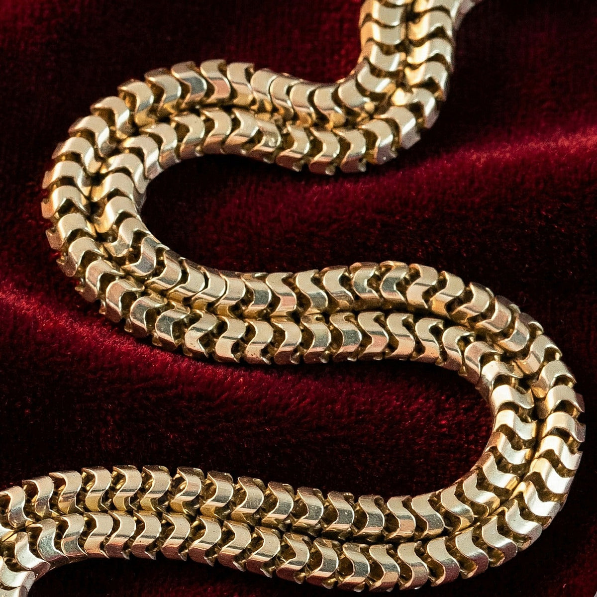 Antique Victorian Snake Guard Chain 9ct Gold