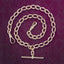 Antique Victorian Albert Chain 9ct Gold