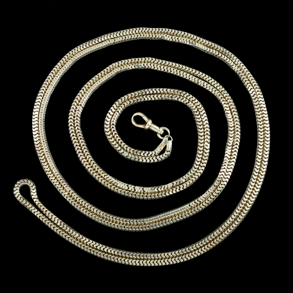 Antique Victorian Snake Guard Chain 9ct Gold 
