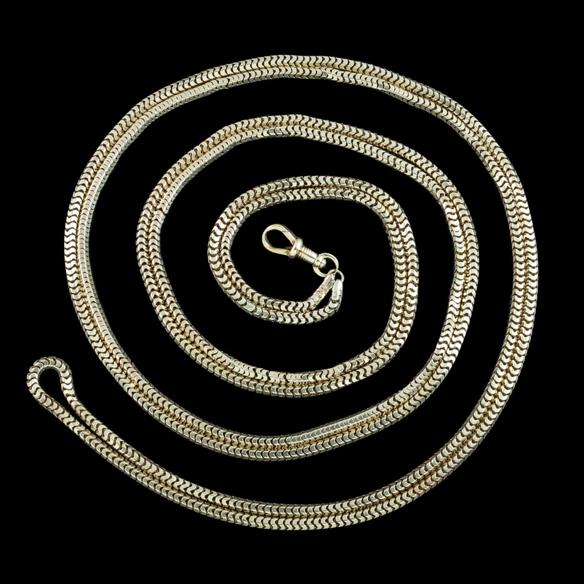 Antique Victorian Snake Guard Chain 9ct Gold 