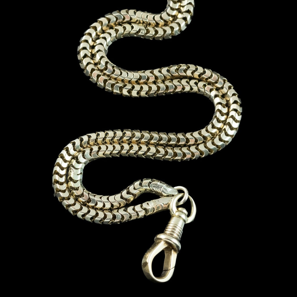 Antique Victorian Snake Guard Chain 9ct Gold 
