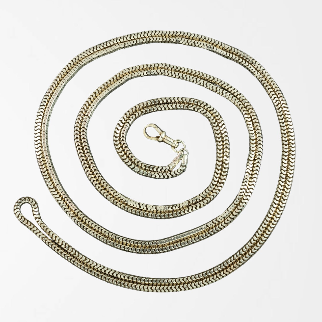 Antique Victorian Snake Guard Chain 9ct Gold Main image