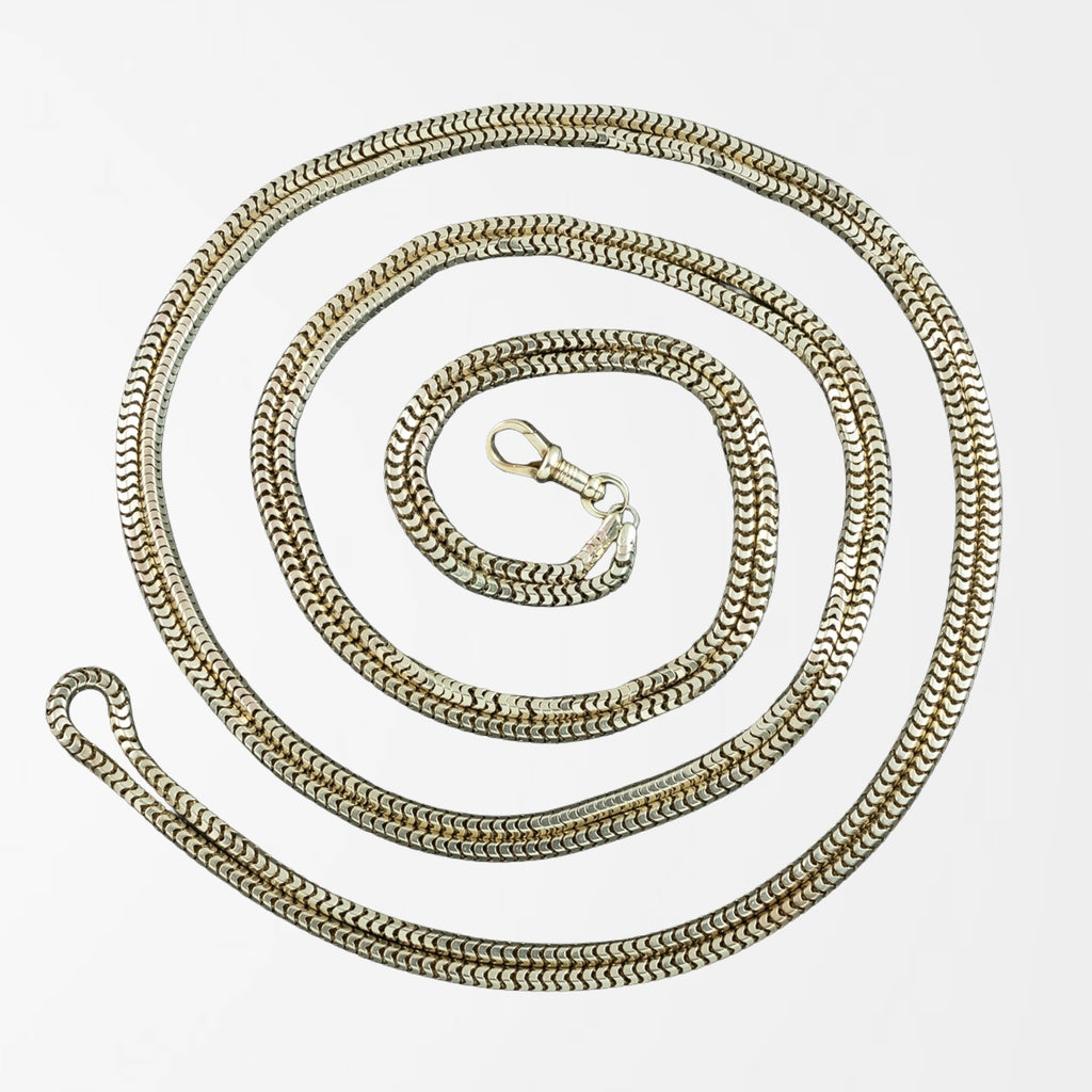 Antique Victorian Snake Guard Chain 9ct Gold