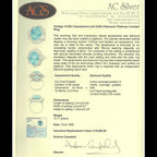 Vintage Aquamarine Diamond Cocktail Ring 13.92ct Aqua 2.95ct Diamond With Cert