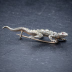 Antique Victorian Paste Stone Lizard Brooch Silver Circa 1900 SIDE