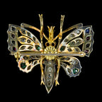 Antique Edwardian Gemstone Butterfly Brooch Circa 1905 Boxed