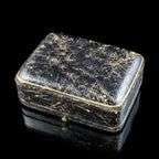 Antique Edwardian Gemstone Butterfly Brooch With Box