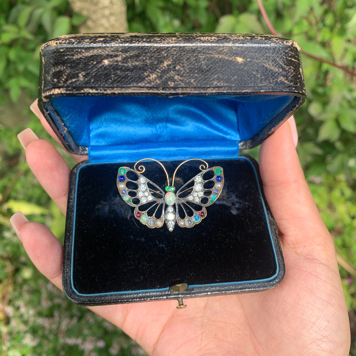 Antique Edwardian Gemstone Butterfly Brooch With Box